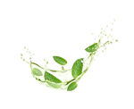 茶水液体飞溅