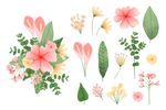 水彩花草