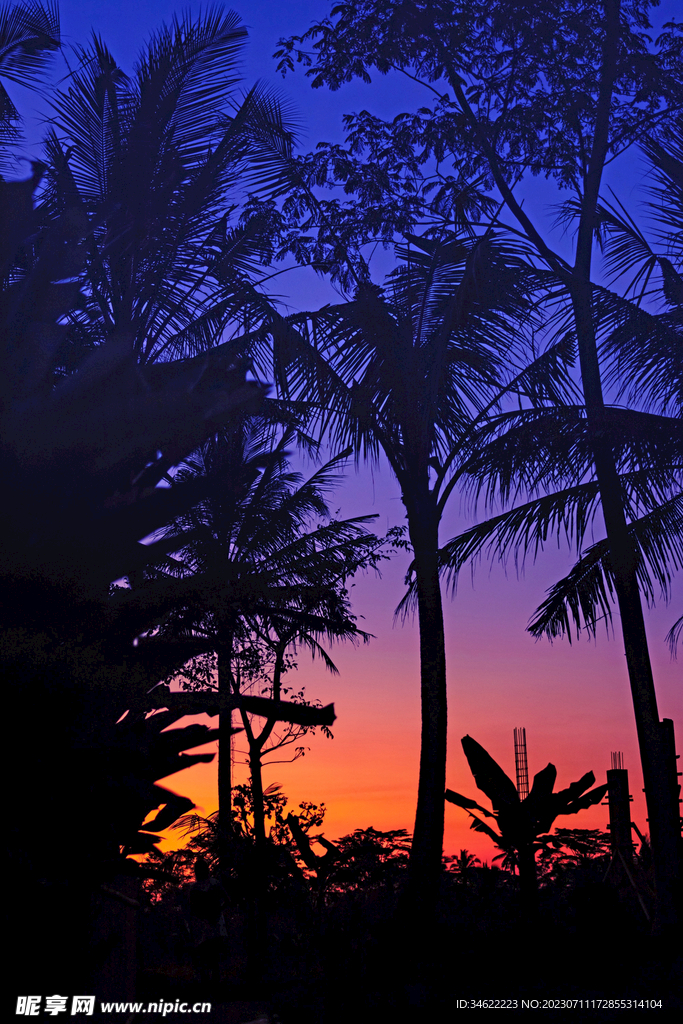 夜空