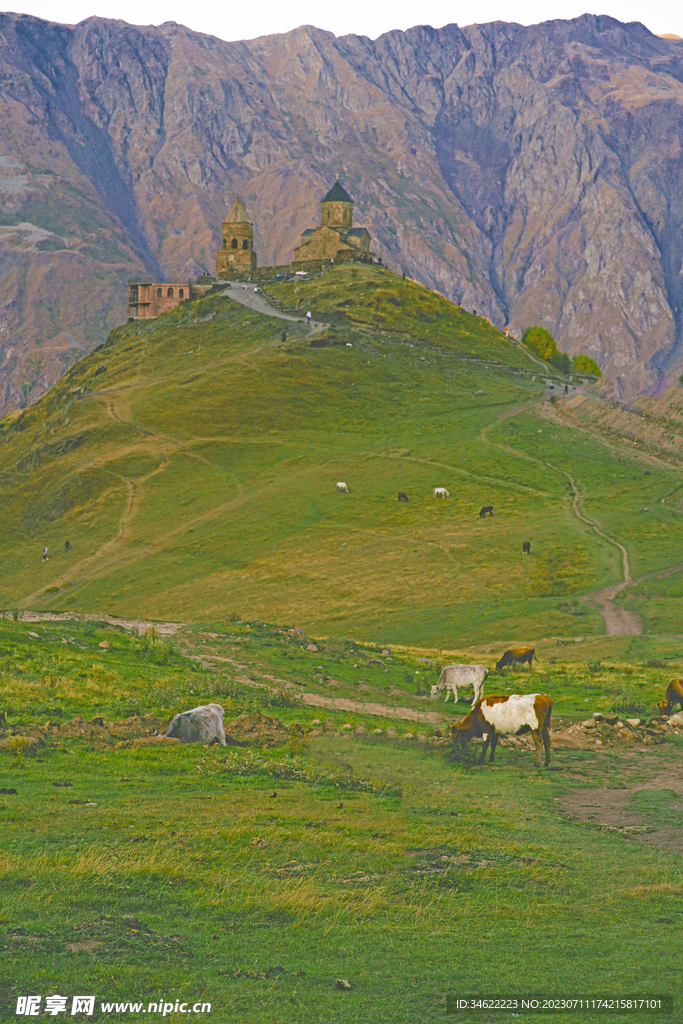 山坡草地