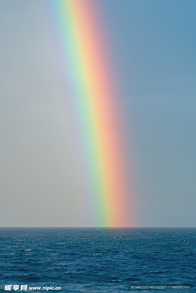 海洋