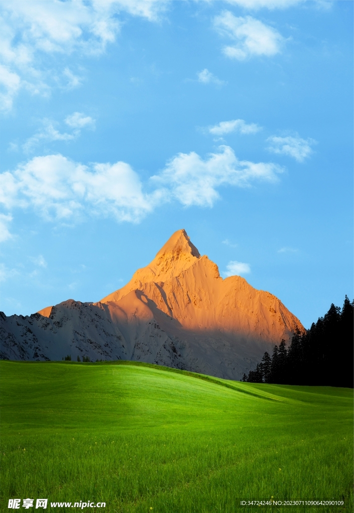 山