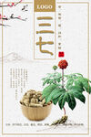 三七
