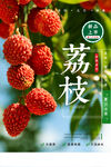 荔枝