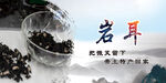 岩耳