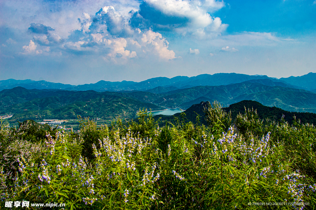 山顶俯瞰