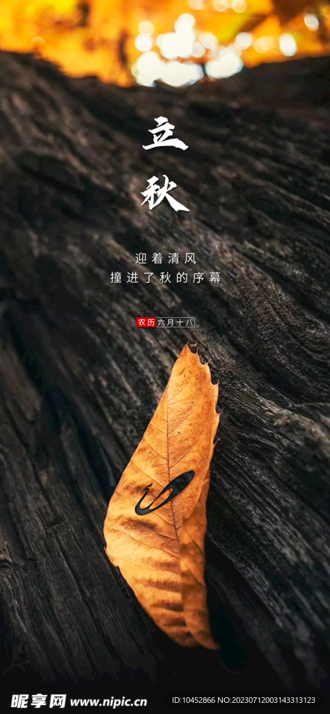 立秋