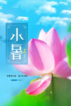 节气小暑海报