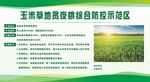贪夜蛾综合防控示范栏
