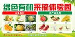 采摘园宣传栏