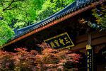 杭州灵隐寺