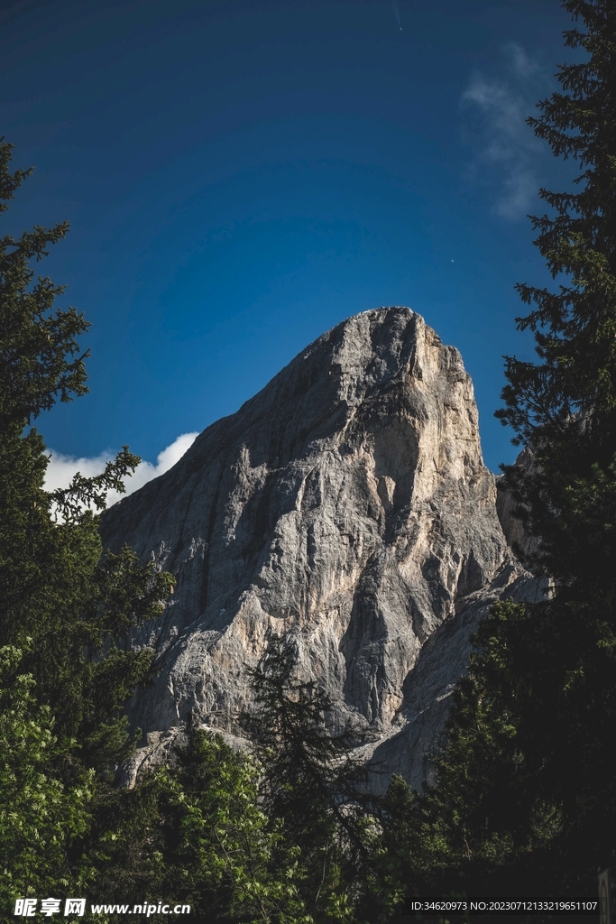 山 树林
