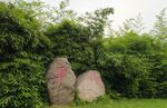 公园风景