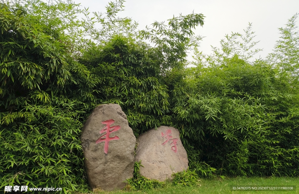 公园风景