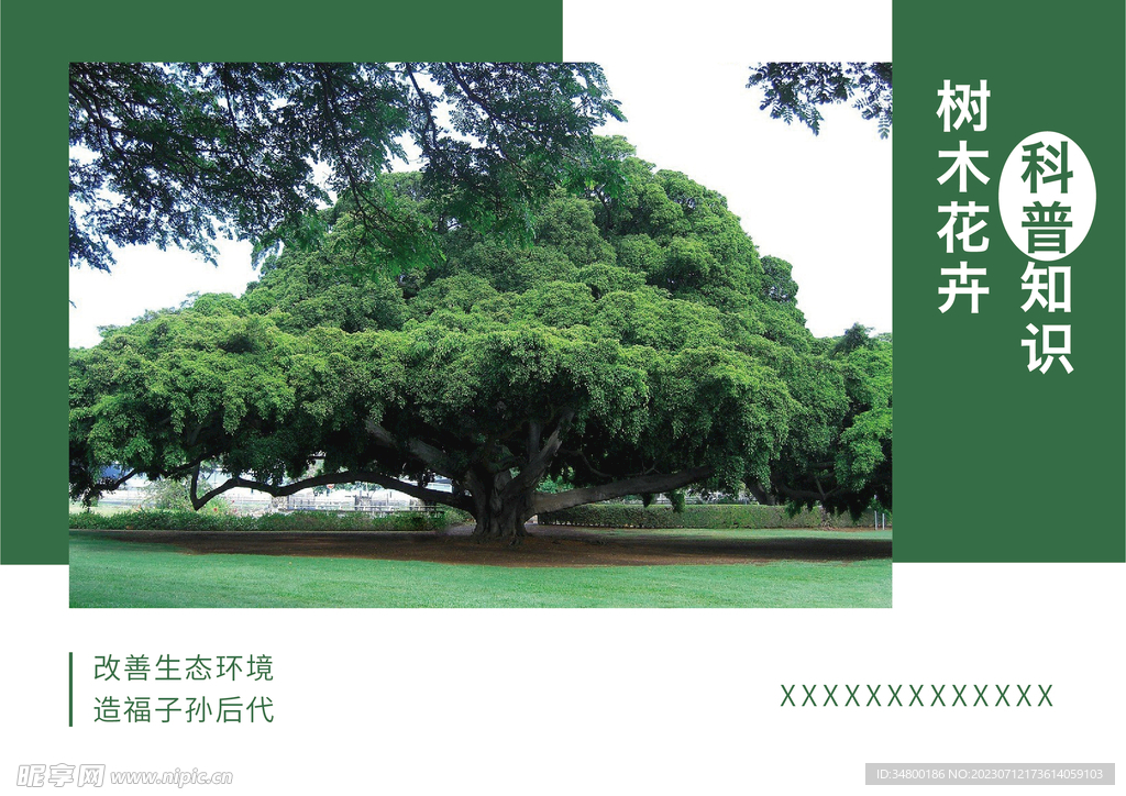 画册封面