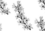 花卉线稿图案