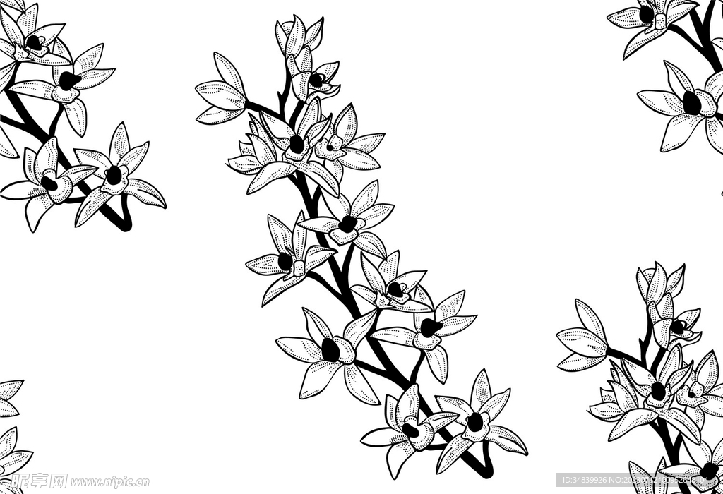 花卉线稿图案