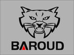 巴鲁德标志  logo