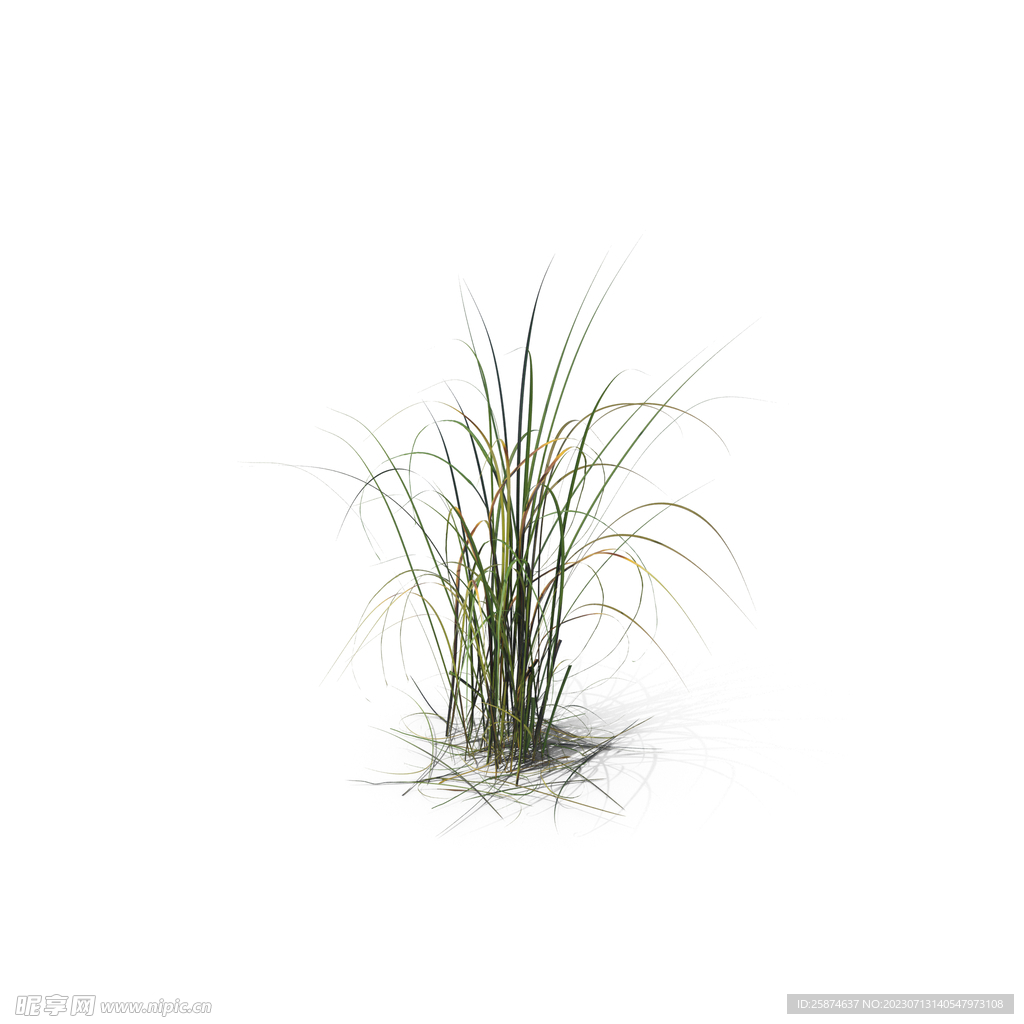 花草