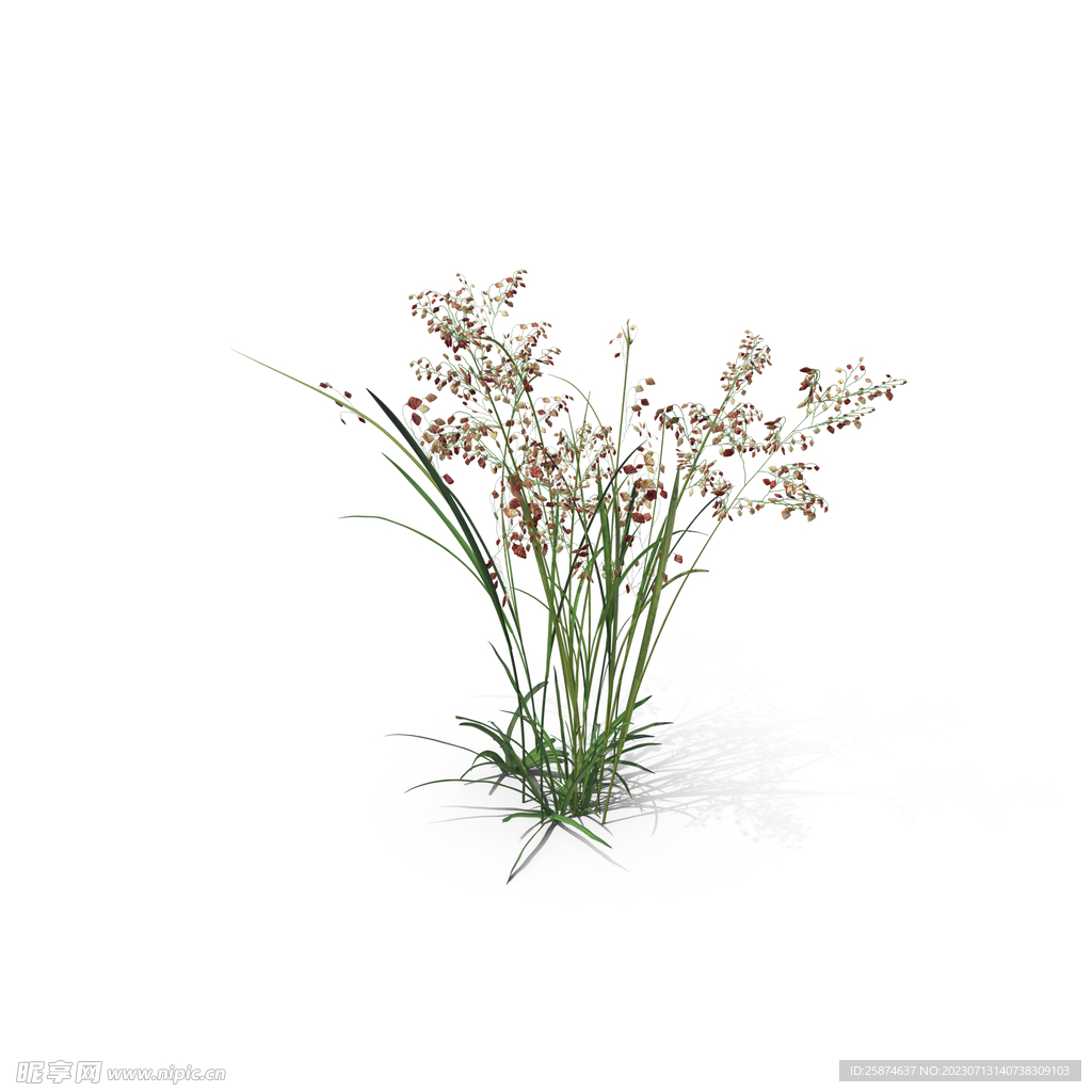 花草