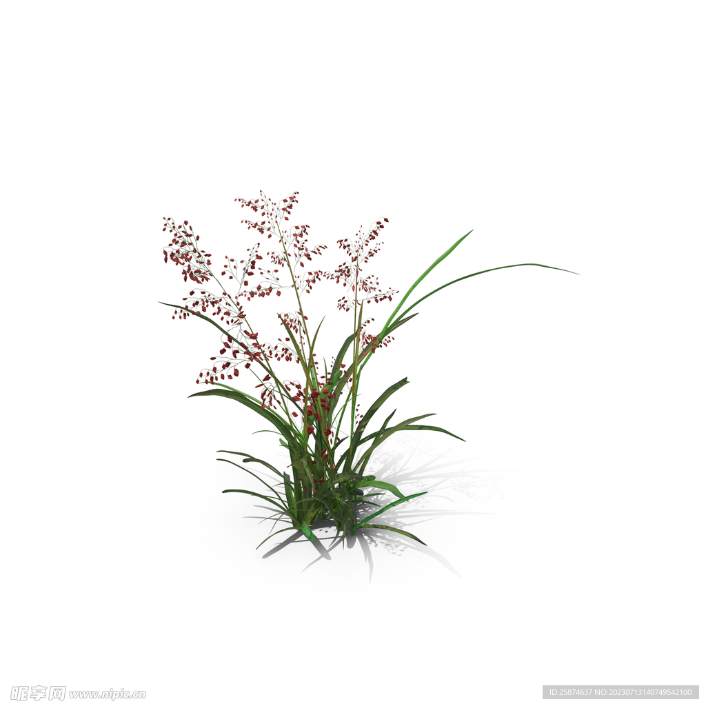 花草