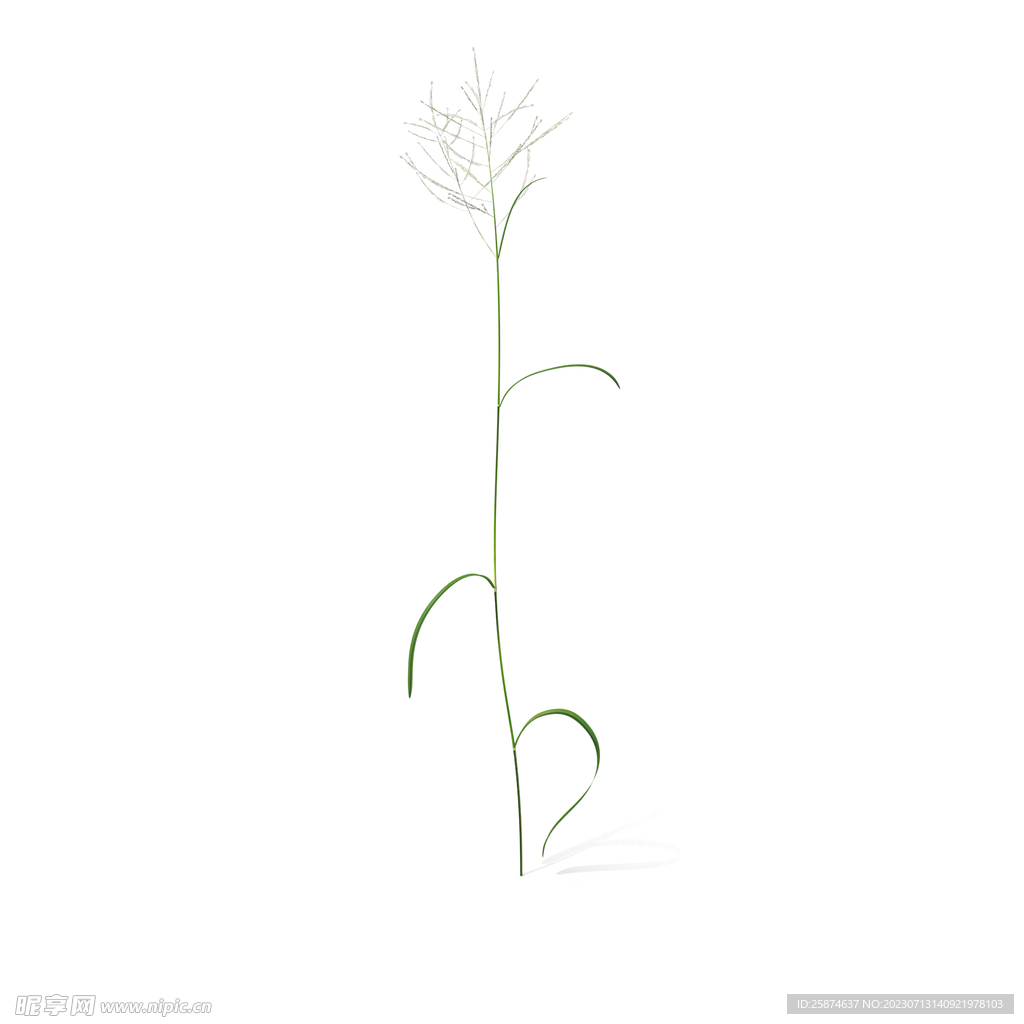 花草