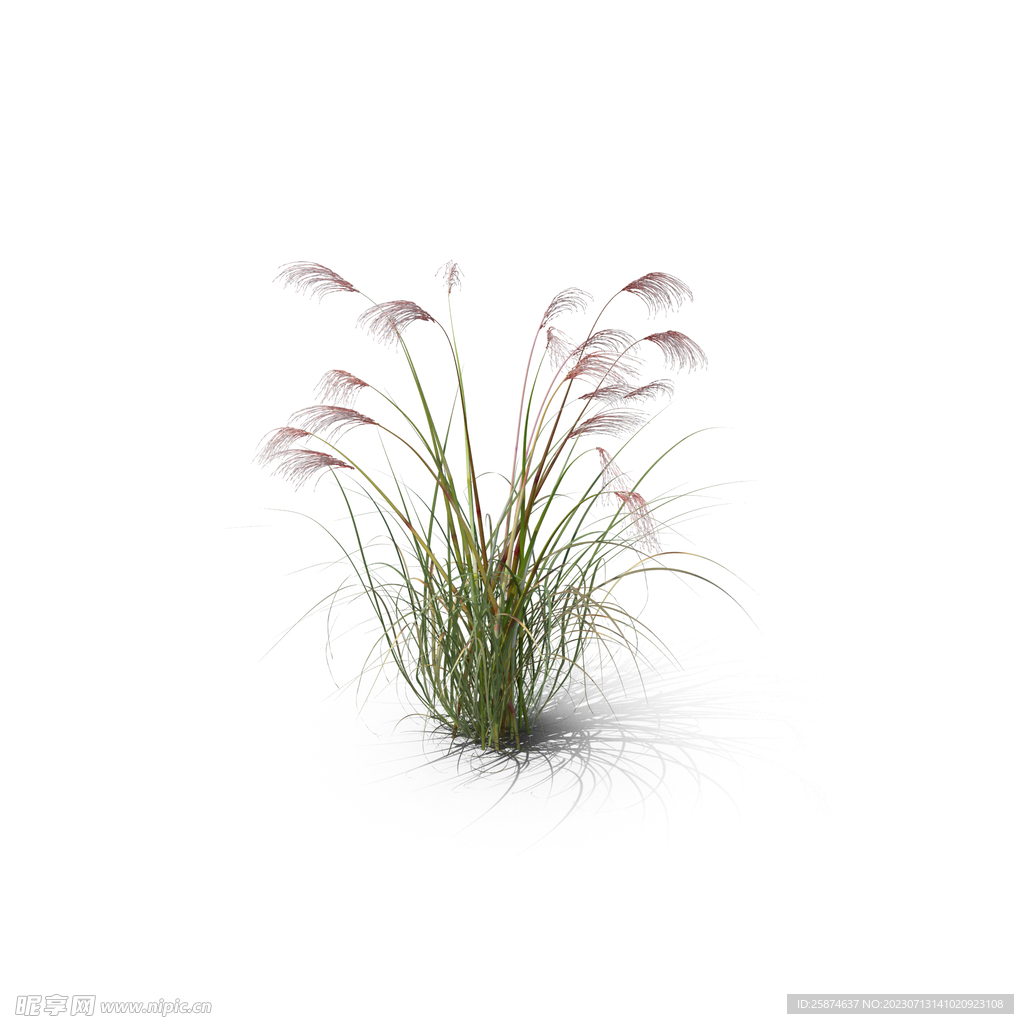 花草
