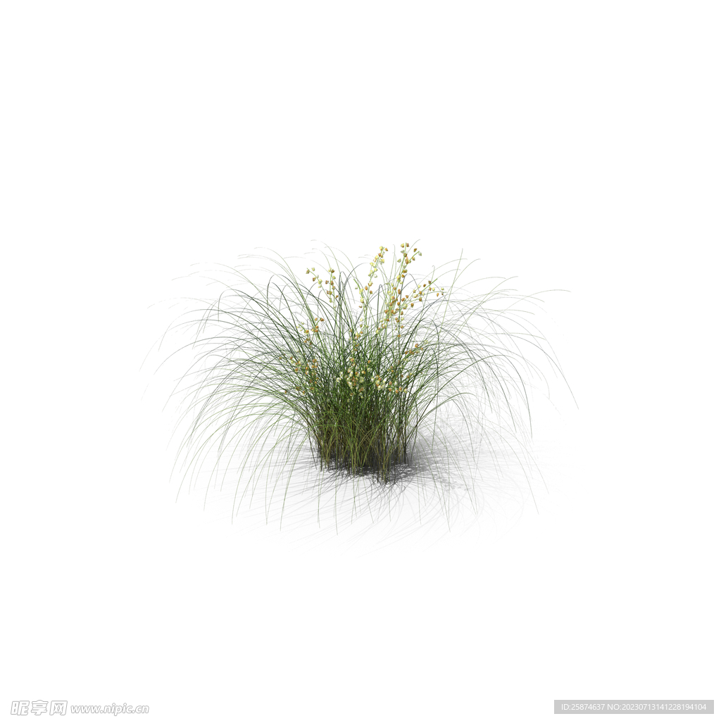 花草