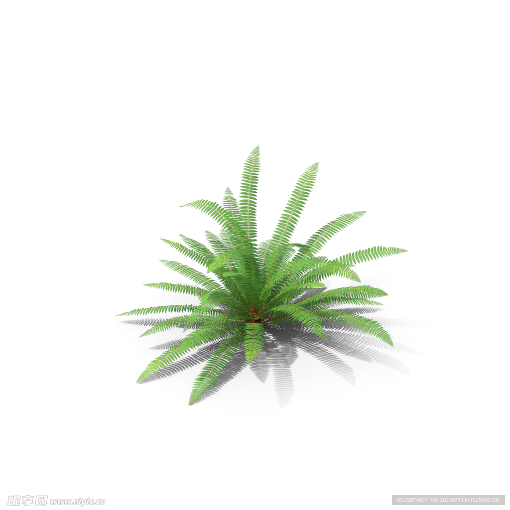 花草