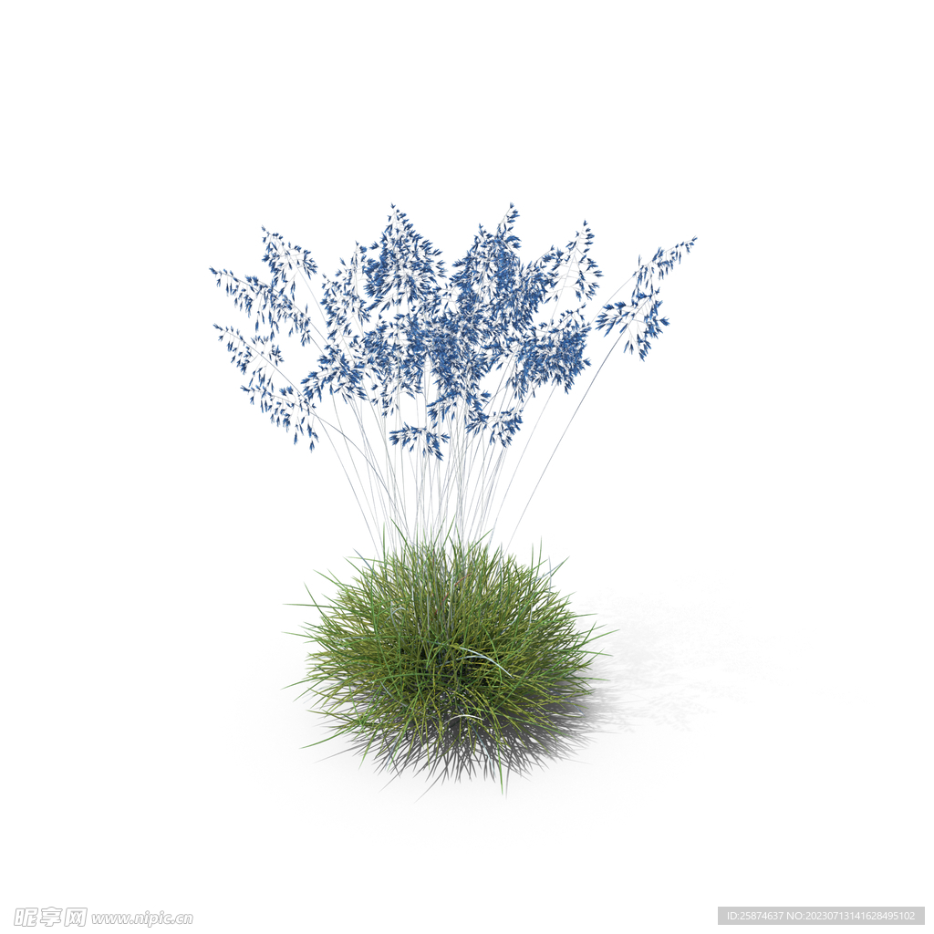 花草