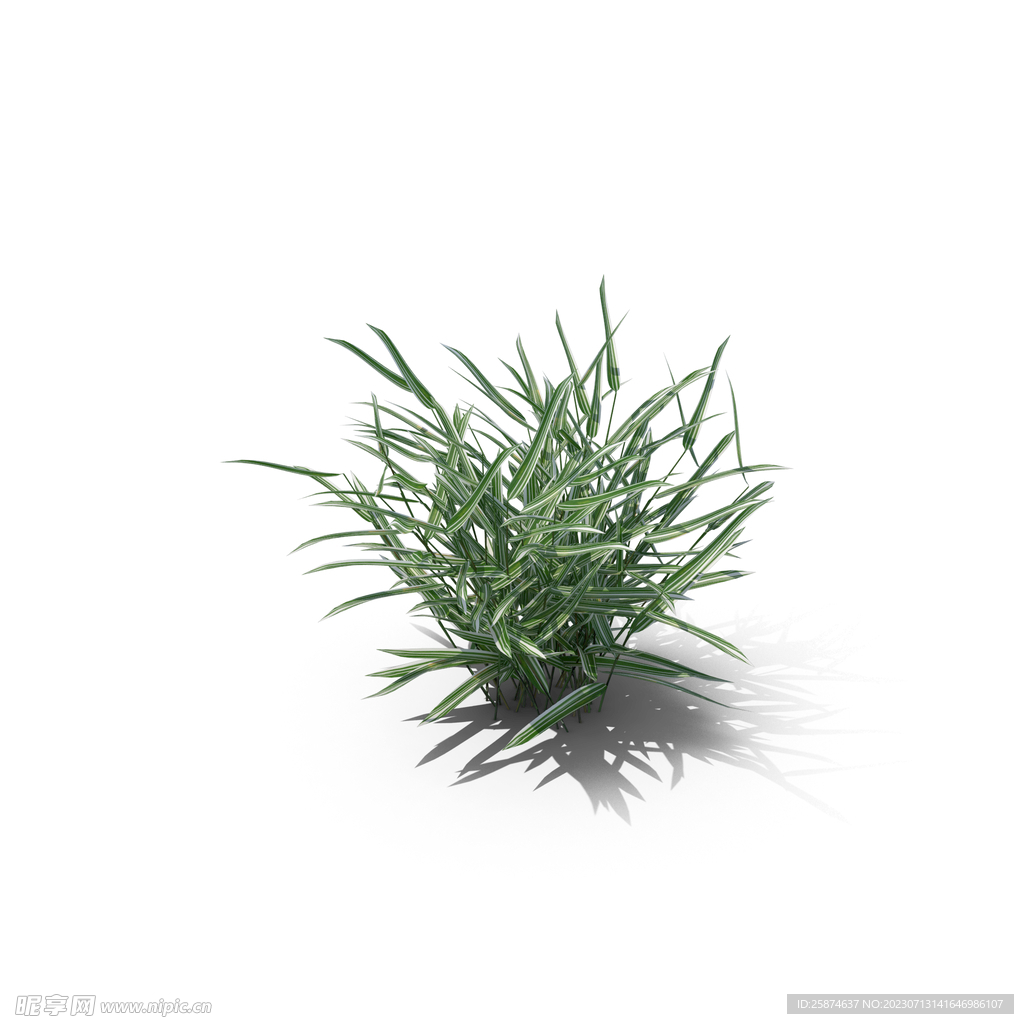 花草