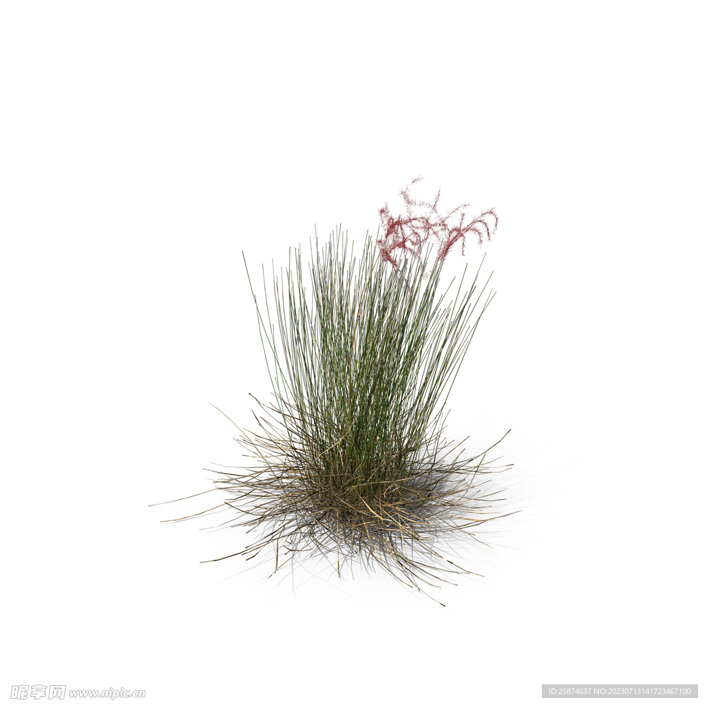 花草