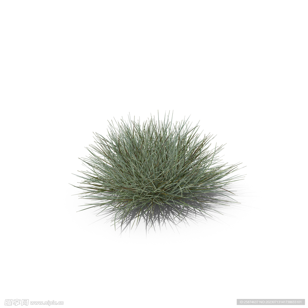 花草