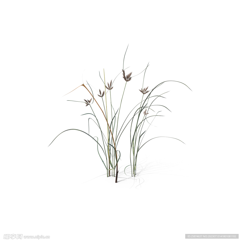花草