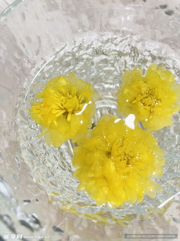 传统菊花茶