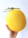 蜜瓜
