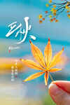 立秋传统节