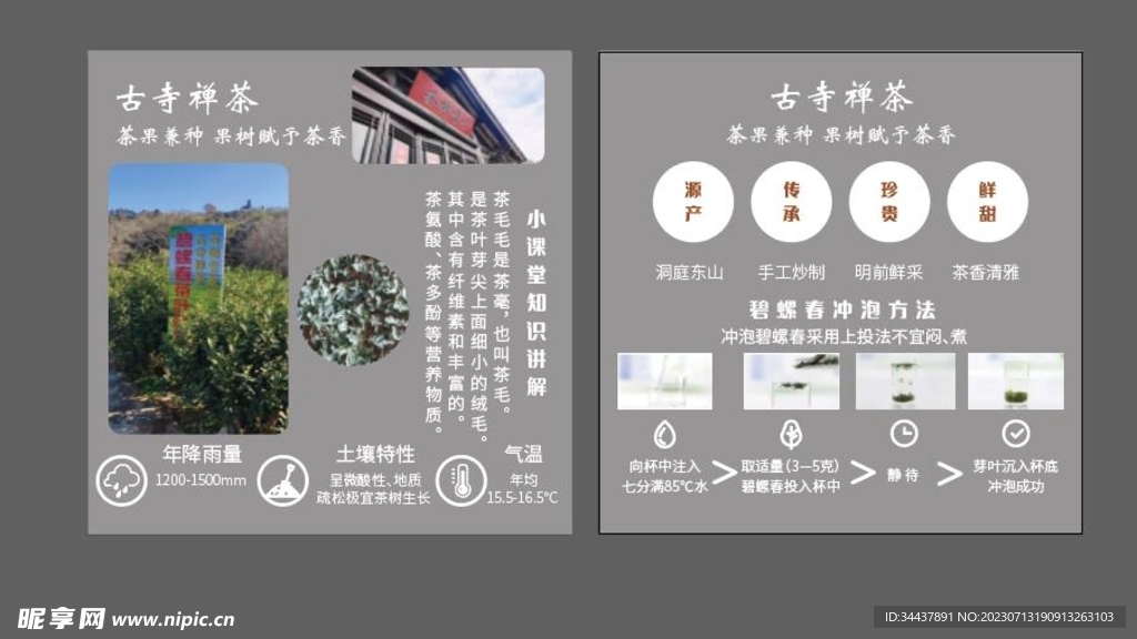 茶叶简介卡片