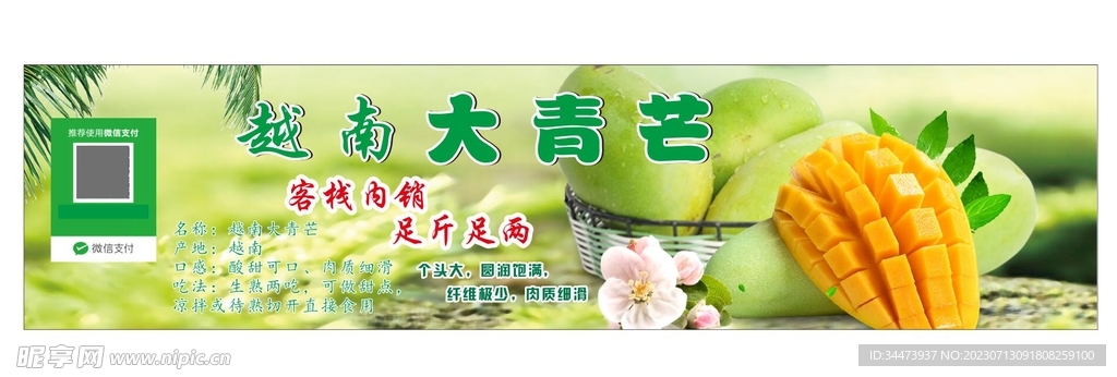 越南大青芒