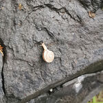 石头上的蜗牛