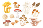 卡通手绘蘑菇矢量元素