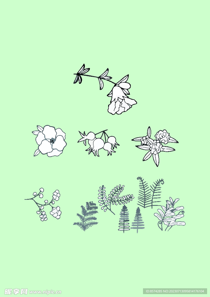 简笔画植物花卉
