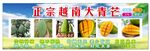 正宗越南大青芒宣传