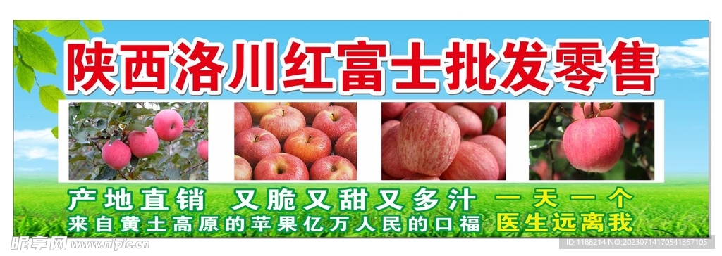 陕西洛川红富士批发零售