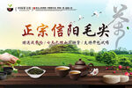 豫尖茶叶加工厂