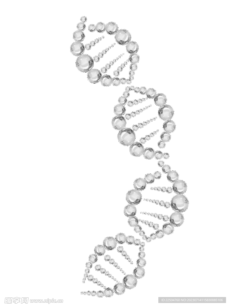 DNA螺旋