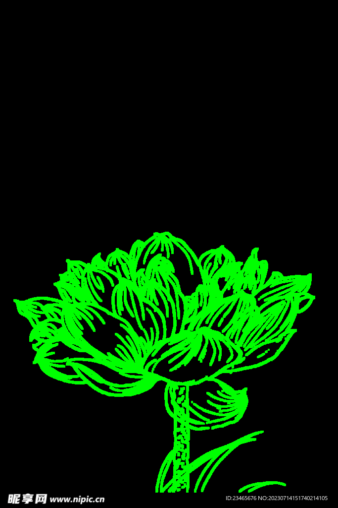荷花简笔画