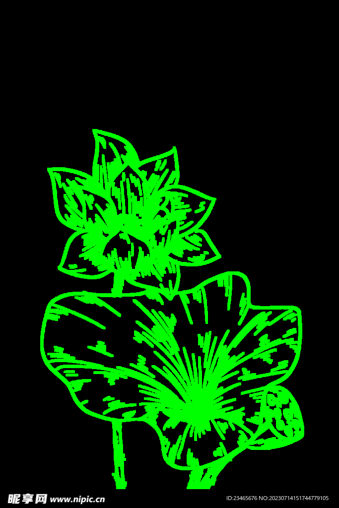 荷花简笔画 