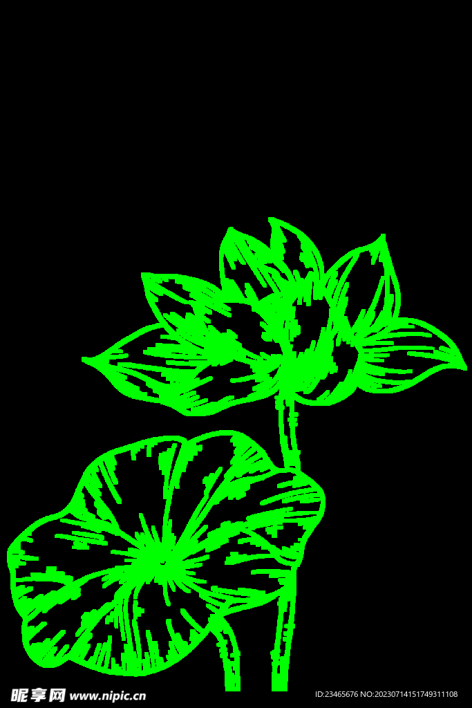 荷花简笔画 
