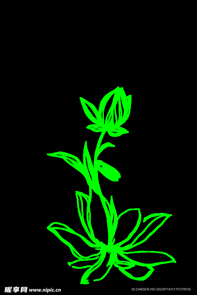 荷花简笔画 